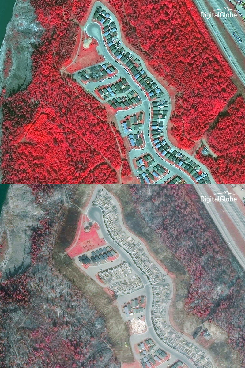 Lush forests turned to soot, vibrant neighborhoods reduced to ash. Over 2,400 structures were destroyed in Fort McMurray. (Image: DigitalGlobe)